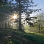 Malerischer Aufenthalt In Rauschenbach