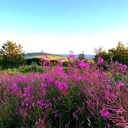Scenic In Rauschenbach Lägenhet Neuhausen (Saxony)