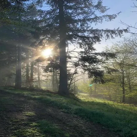 Scenic In Rauschenbach
