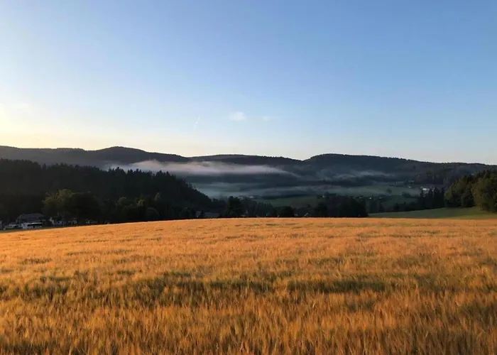 Апартаменты Scenic In Rauschenbach