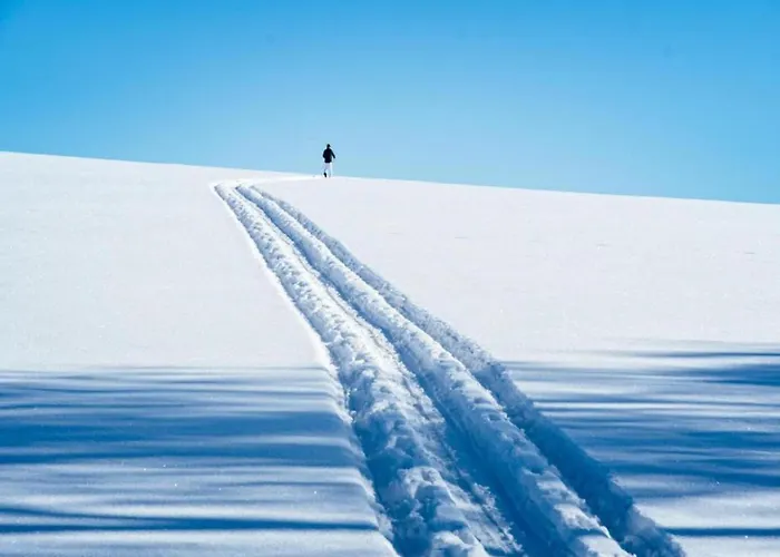 Scenic In Rauschenbach Apartament