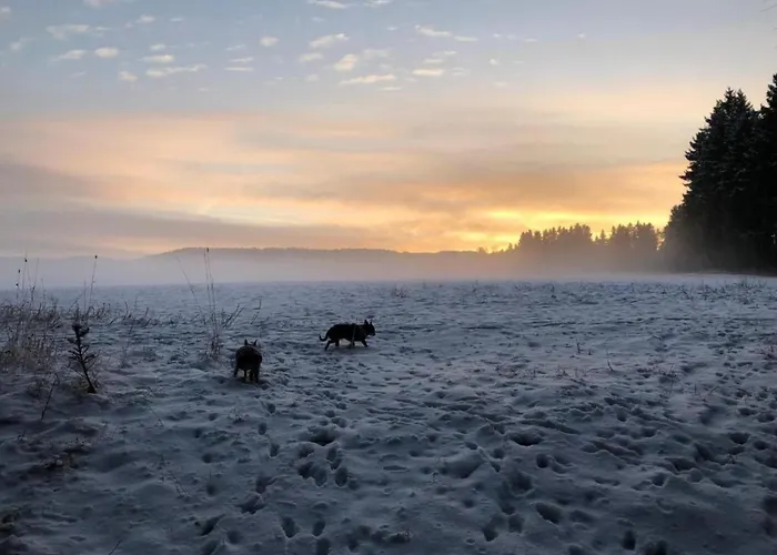 Scenic In Rauschenbach Apartament *