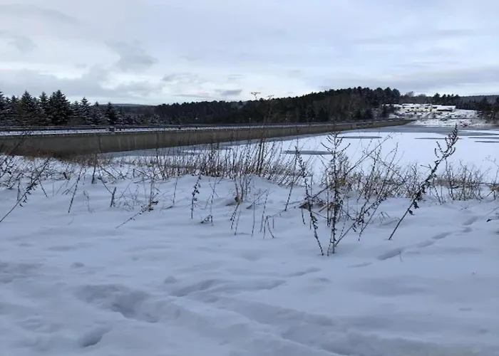 Апартаменты Scenic In Rauschenbach Нойхаузен