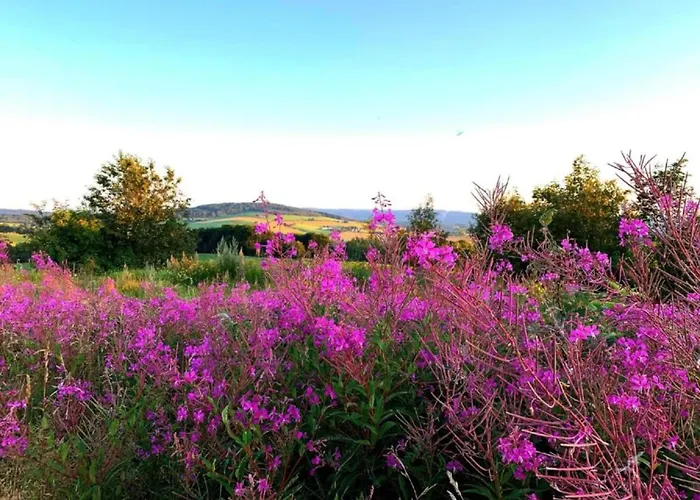 Scenic In Rauschenbach Апартаменты Нойхаузен