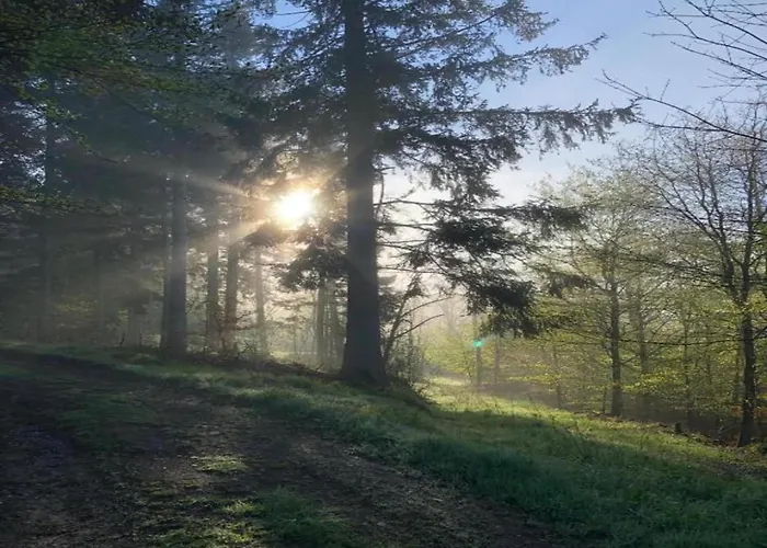 Malerischer Aufenthalt In Rauschenbach