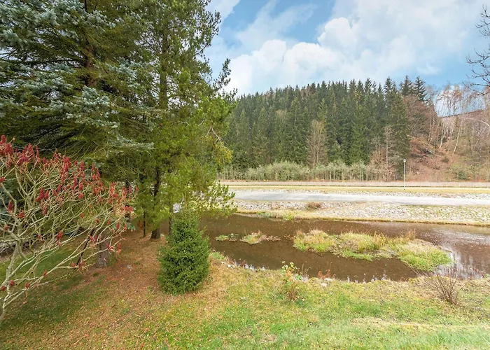 Scenic In Rauschenbach Апартаменты